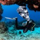 Ласты Scubapro Jet Fin Камуфляж 